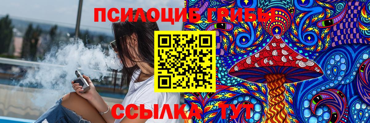 Михайловка  купить наркотик  Вход с VPN  Галлюциногенные грибы Magic Shrooms 