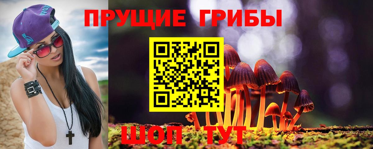 Галлюциногенные грибы мухоморы Михайловка